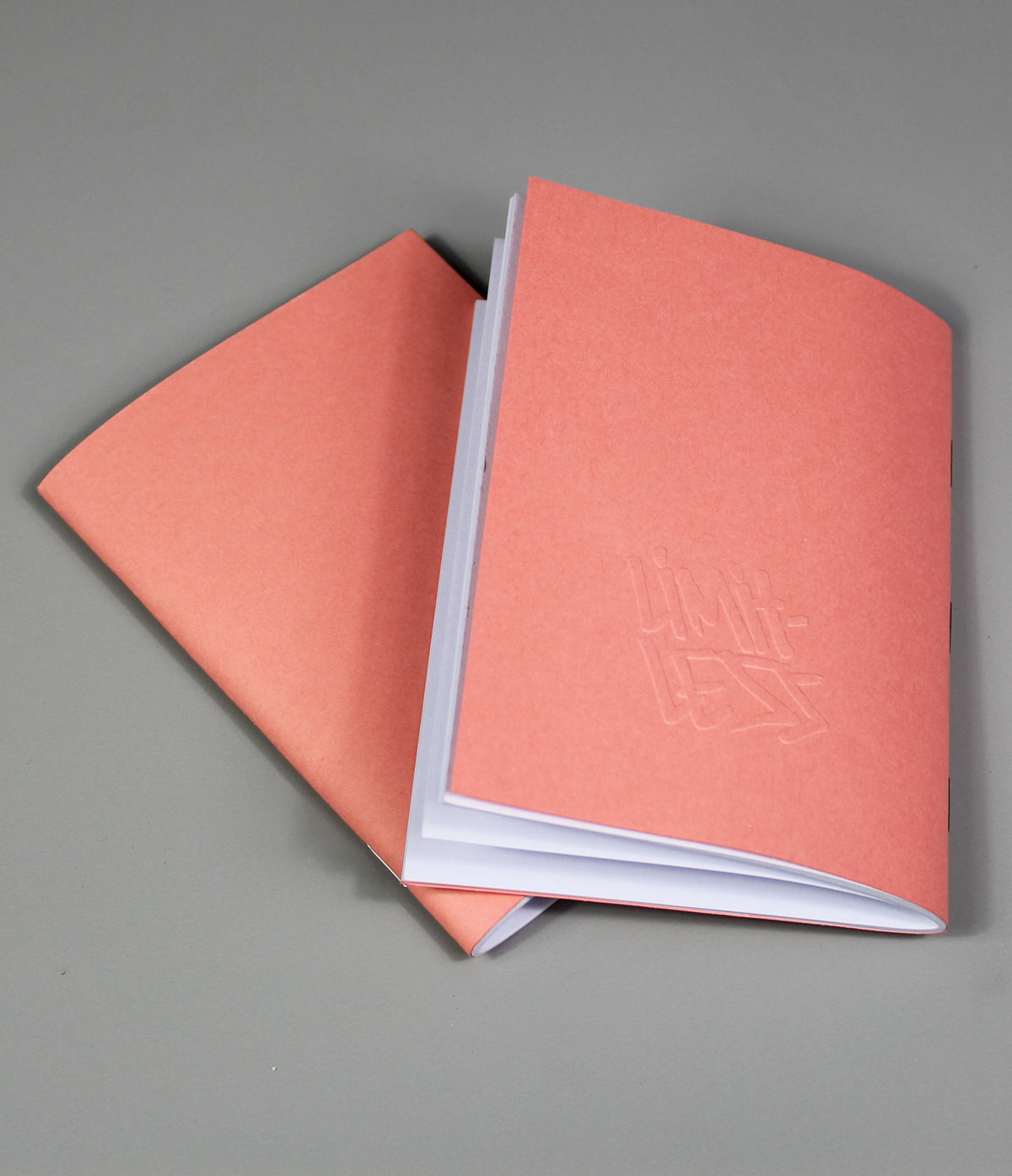 Pink Salmon Set of 2 Sketchbooks