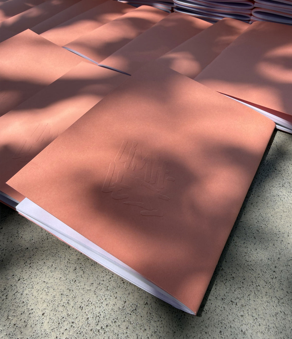 Pink Salmon Set of 2 Sketchbooks