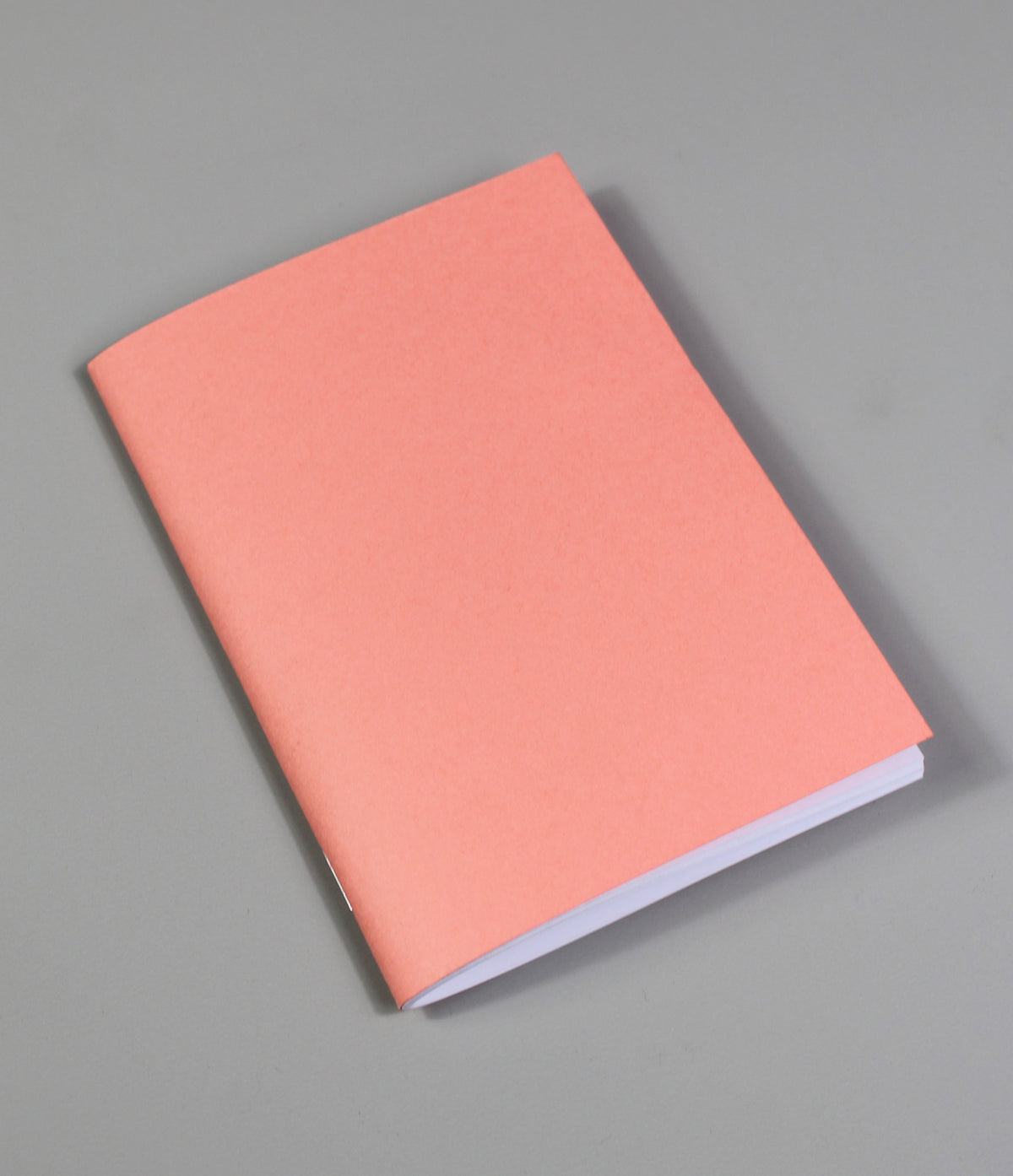 Pink Salmon Set of 2 Sketchbooks