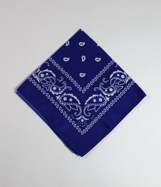 Blue Bandana